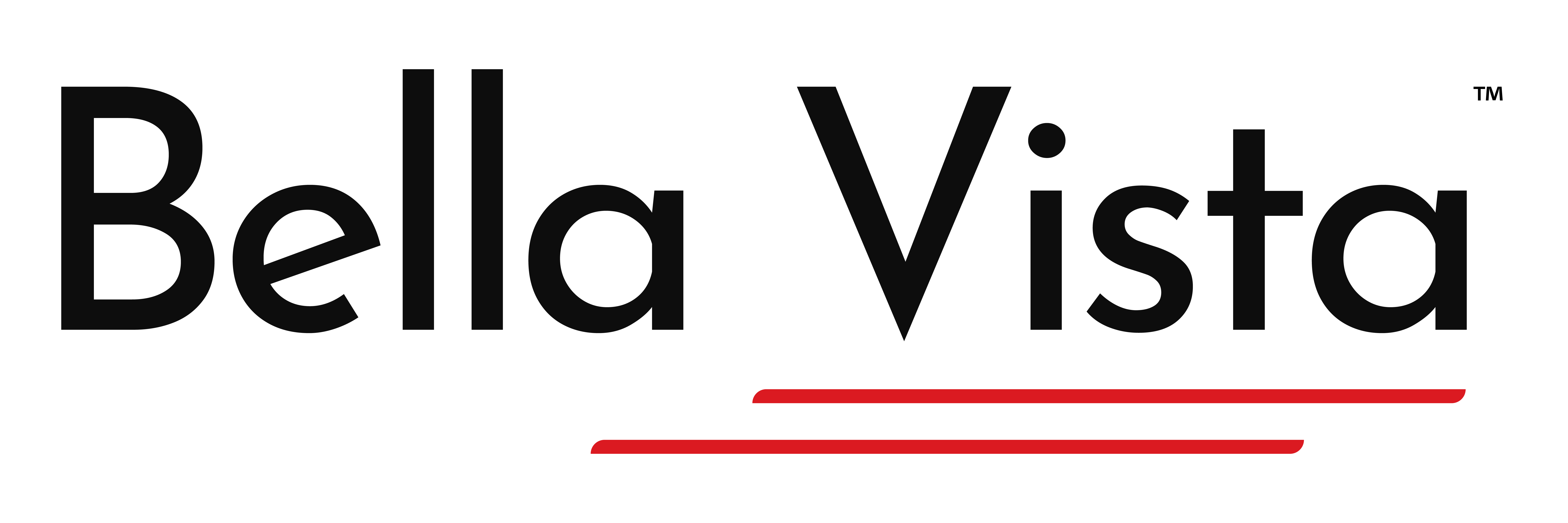bv-new-logo